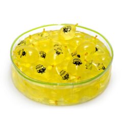 Bunch O Balloons 3 pack - 100 Waterballonnen - Minions